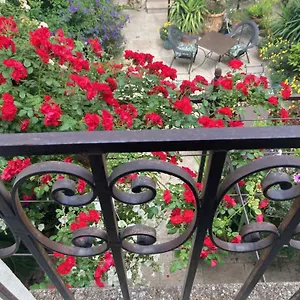 La Maison Des Augustins 4 Stars Et Fitness Авиньон